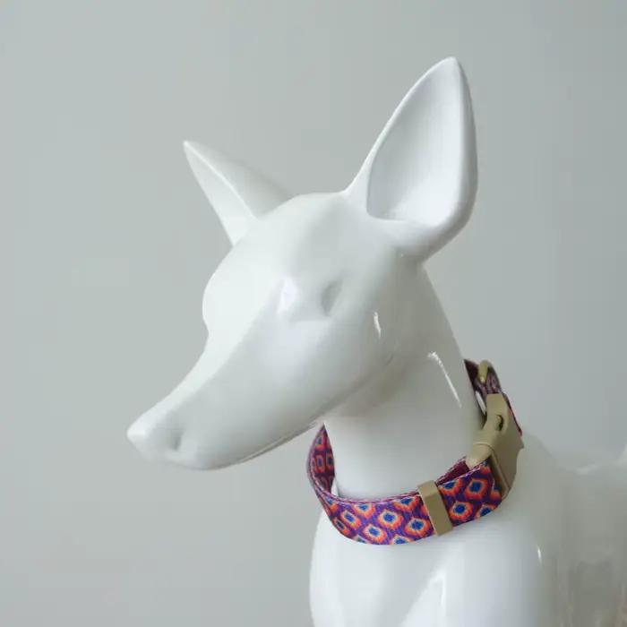 Collier de chien personnalisé réglable