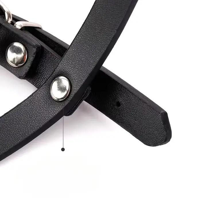 Muselière pour chien réglable et robuste