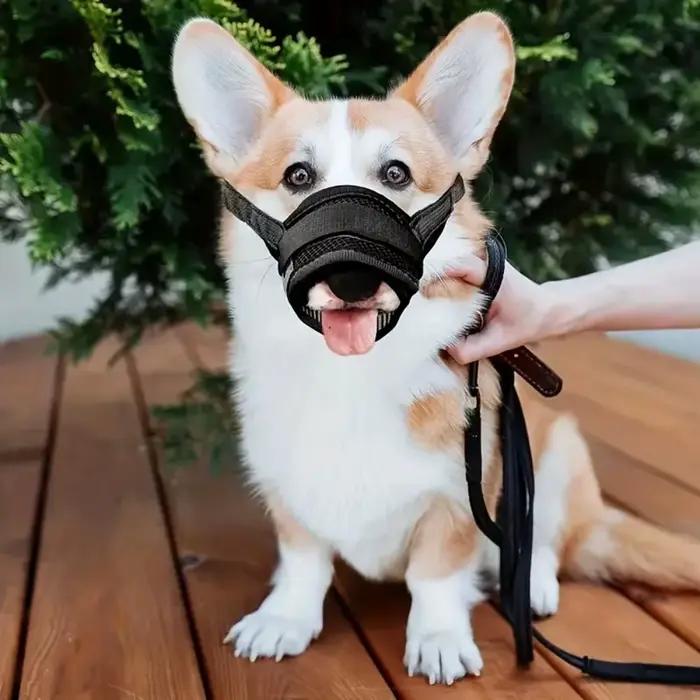 Muselière Anti-aboiement pour chiens de petite et grande taille
