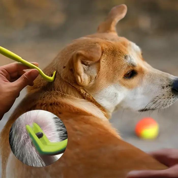 Kit de 3 pinces à tiques portables pour animaux de compagnie