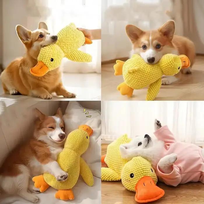 Jouets pour chiens 2026