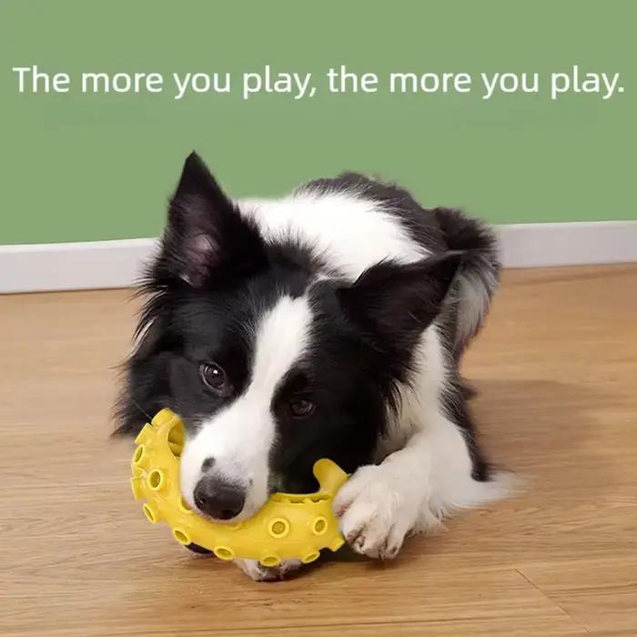 Jouets à mâcher TPR pour chiens