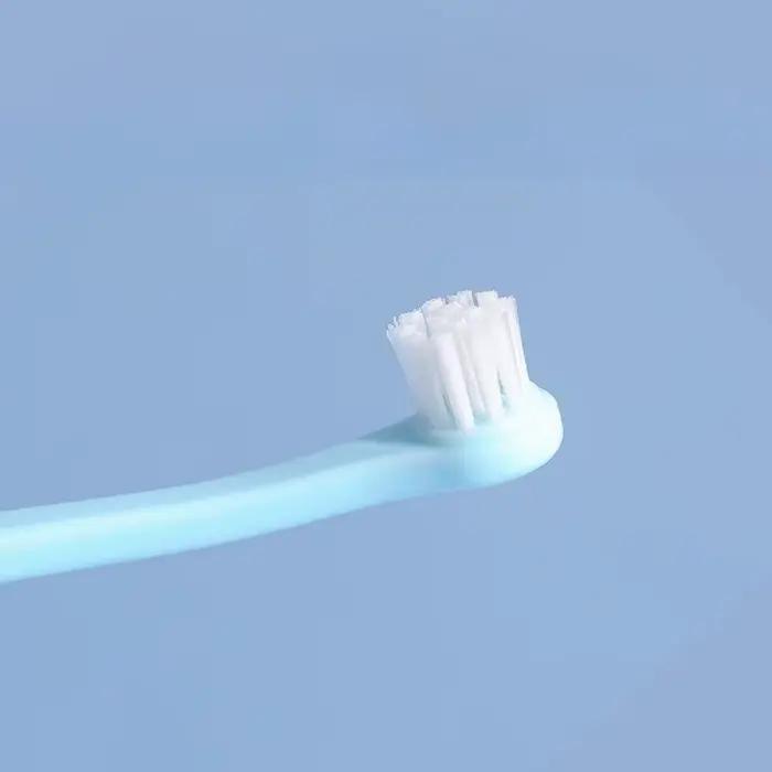 Brosse à dents pour chien