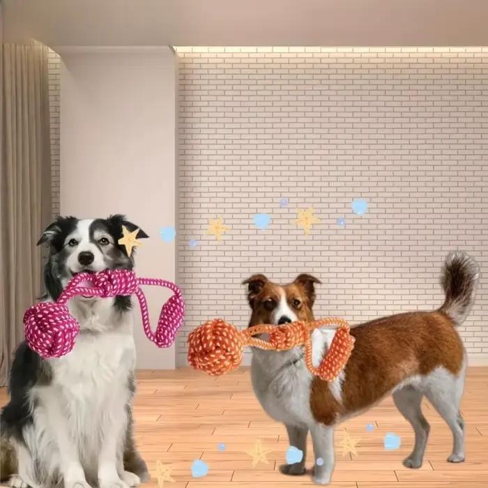 Jouets de corde pour chiens à mâcher et à griller