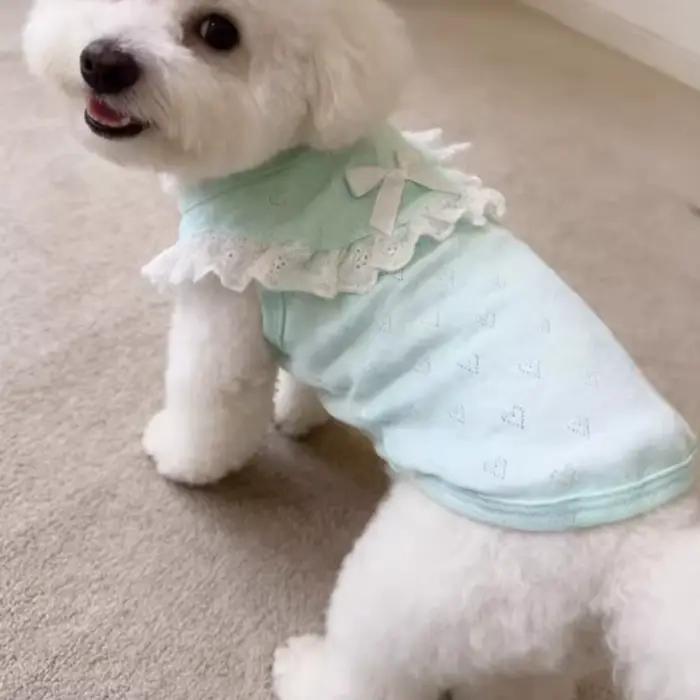Gilet en dentelle pour chien à col volanté