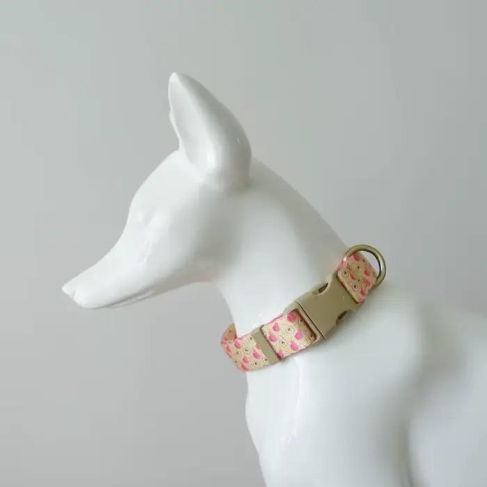 Collier de chien personnalisé réglable
