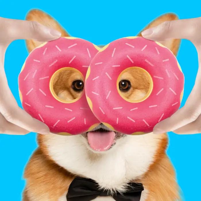 Jouet pour chien en caoutchouc en forme de donut avec fonctions de nettoyage des dents