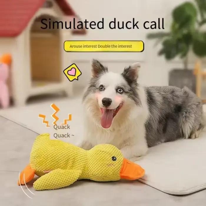 Jouet en peluche pour animaux de compagnie