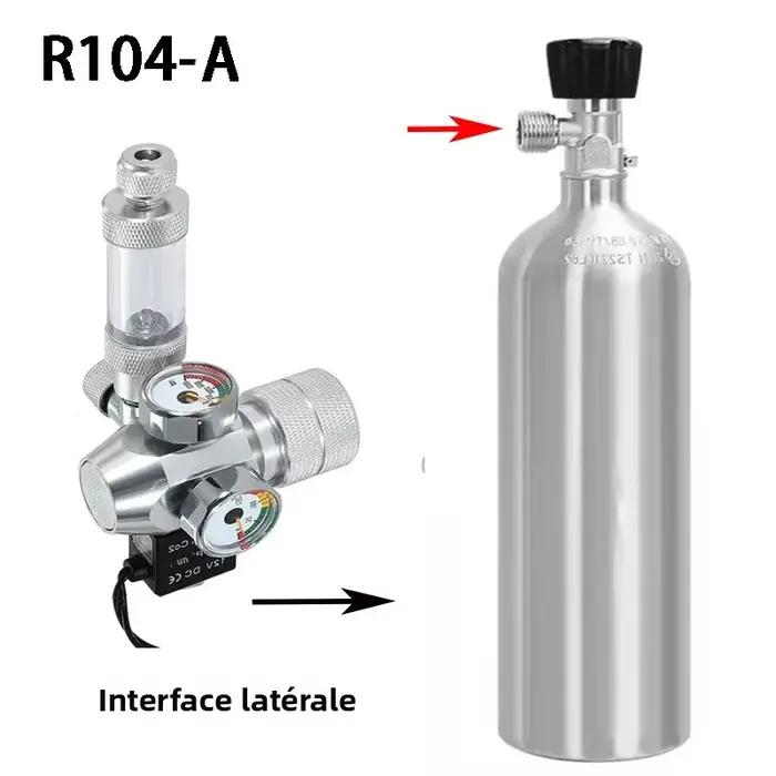 Régulateur de CO2 pour Aquarium AC100-240V