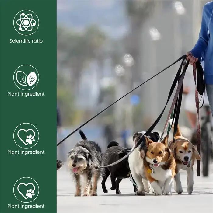 Complément alimentaire pour les articulations des chiens pour soulager l'arthrite et améliorer la mobilité