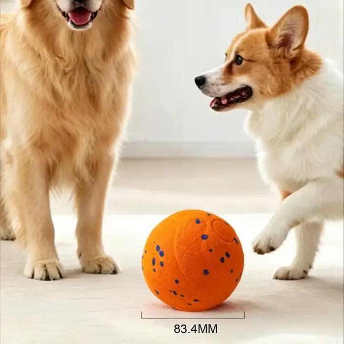 Balle sautante pour chien