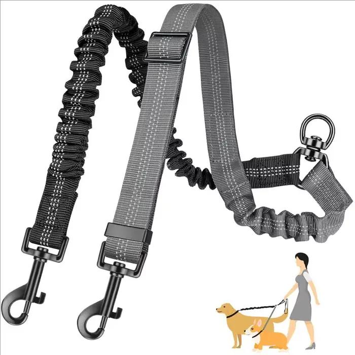 Laisse double pour chien