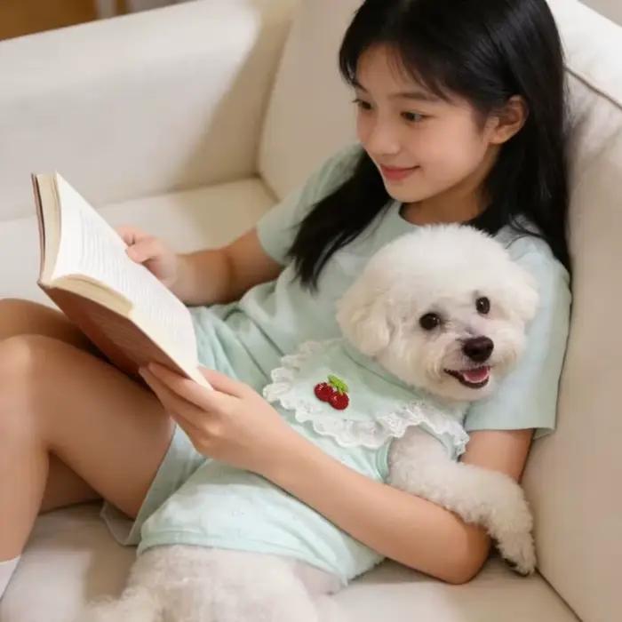 Gilet en dentelle pour chien à col volanté