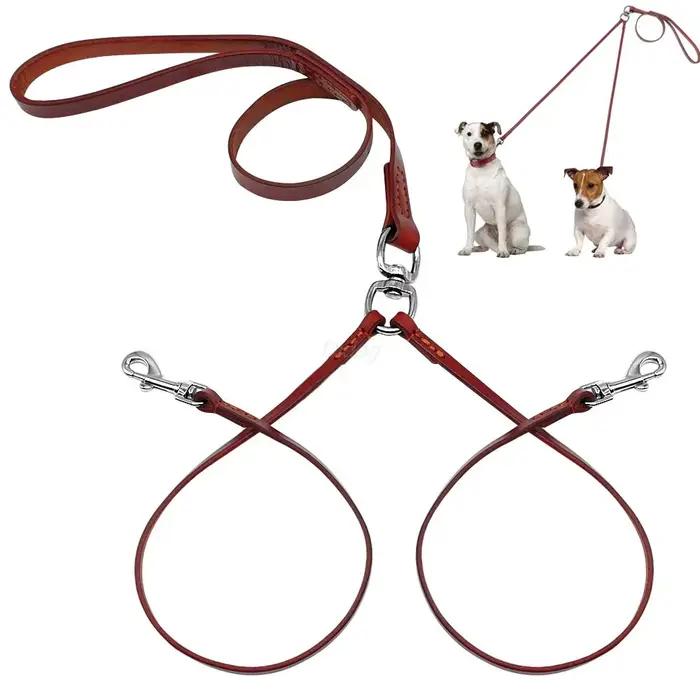 Double laisse pour deux petits chiots