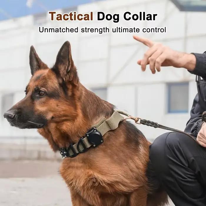 Collier pour chien