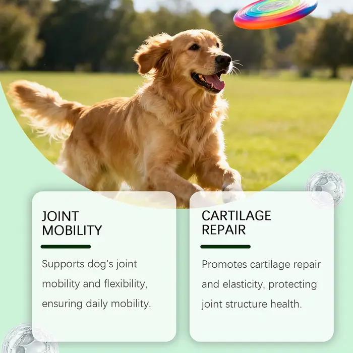 Complément articulaire pour chien de 200 g