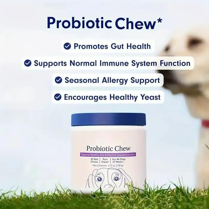 30 Probiotiques pour chiens – Complément digestif et immunitaire pour toutes les races