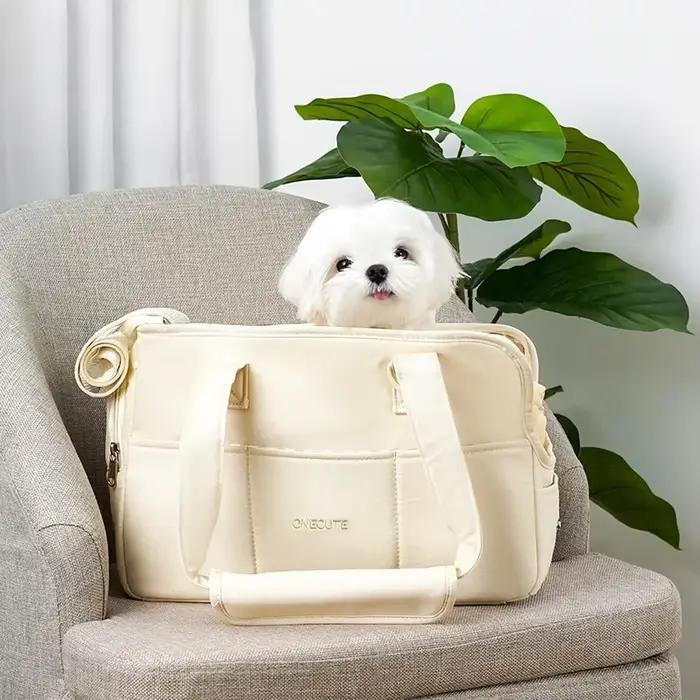 Les animaux de compagnie sortent et emmèlent leurs chiots. Les sacs à bandoulière portables sont adaptés aux chats et