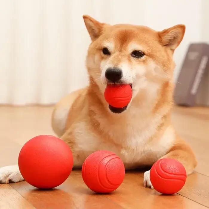 Jouet gonflable Durable pour chien