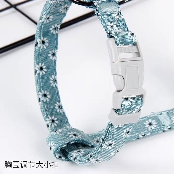 Collier pour chien, harnais