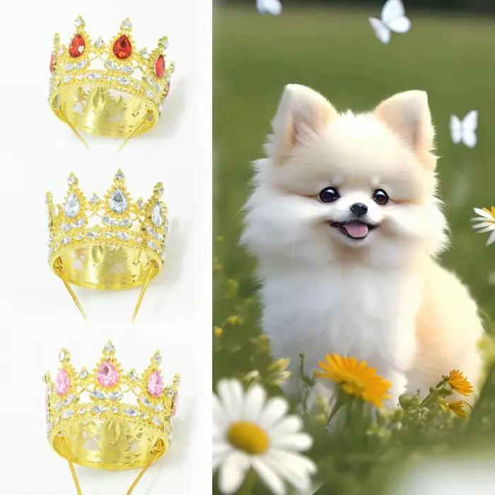 Chapeau Couronne pour Animaux de Compagnie