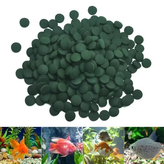 100 pièces comprimés de spiruline enrichissement nourriture pour animaux de compagnie préférée poisson cristal rouge