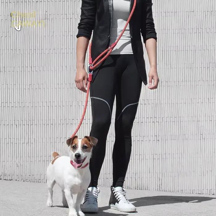 CAWAYI KENNEL Laisse en Nylon Réfléchissant pour Chien