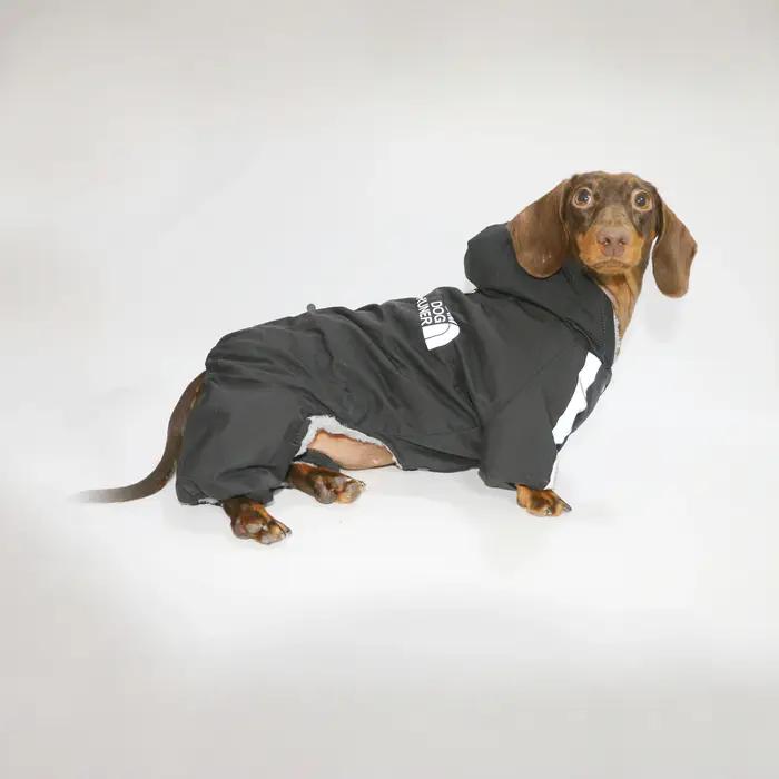 Hiver chaud en peluche teckel chiens imperméable coupe-vent