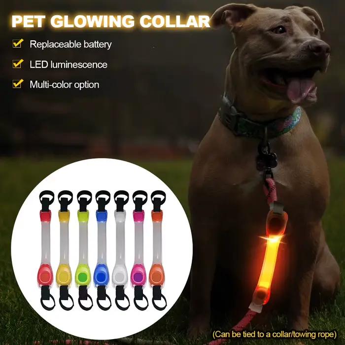 Collier de sécurité anti-perte pour chien