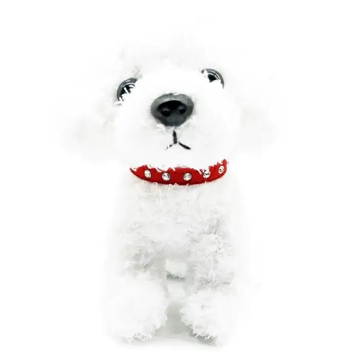 Petit chien chat Collier chaton chiot cuir