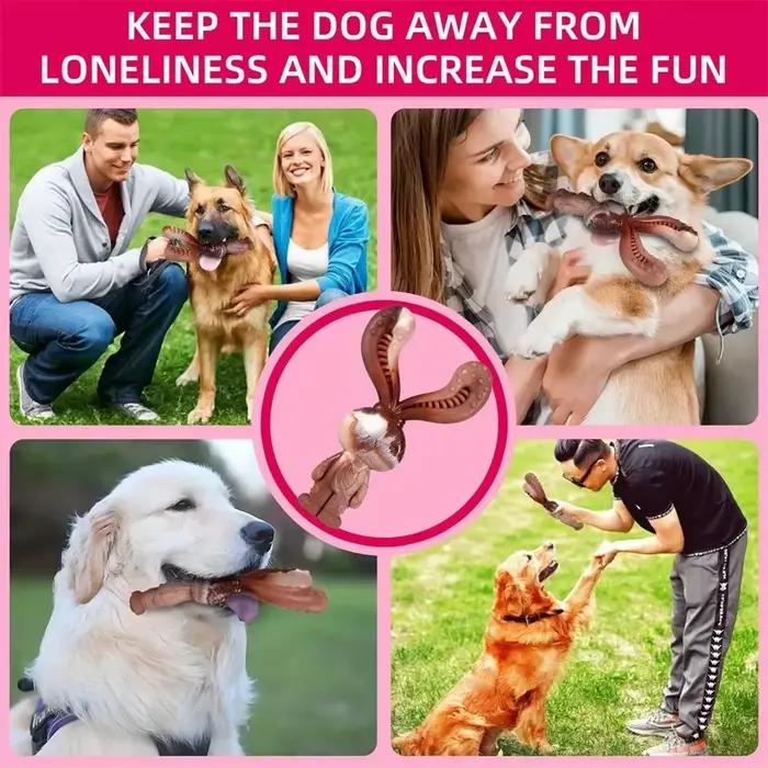 Jouet à mâcher indestructible pour chien