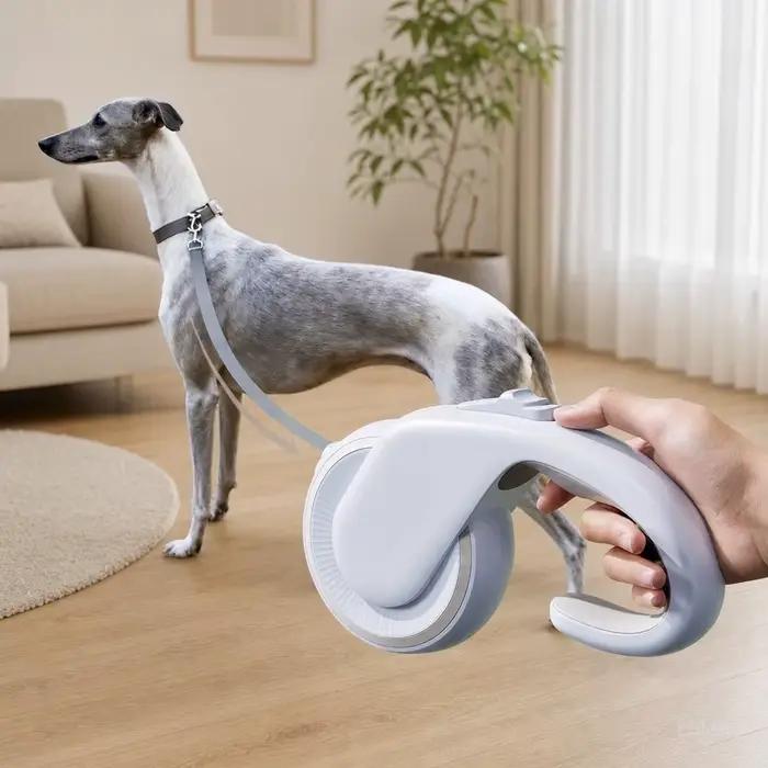 Laisse rétractable automatique pour chien