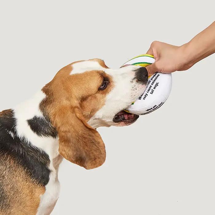Jouet parodie pour chien Zen Pupper Deckies