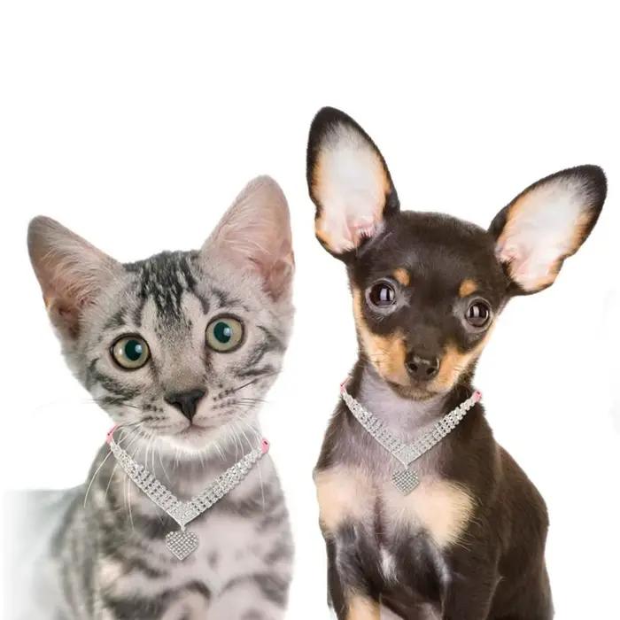 Collier réglable pour chat et chien