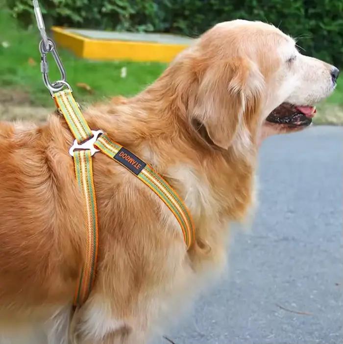 Laisse de câble d'arrimage pour chien à Double tête