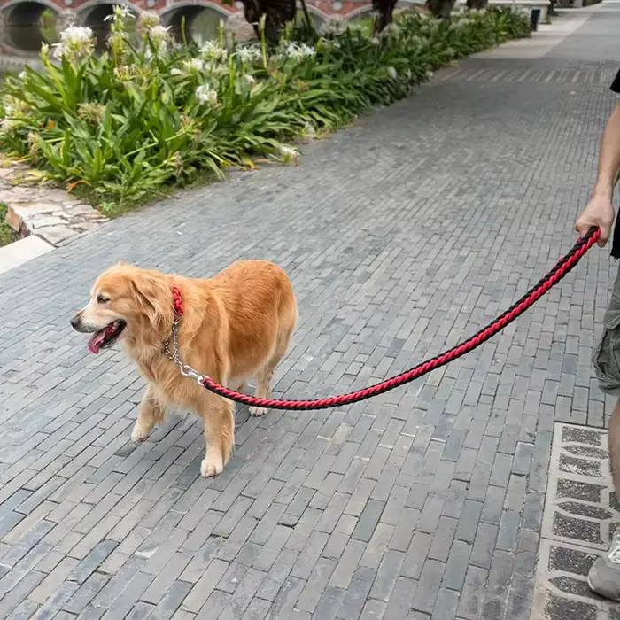Laisse pour chien faite à la main de 4