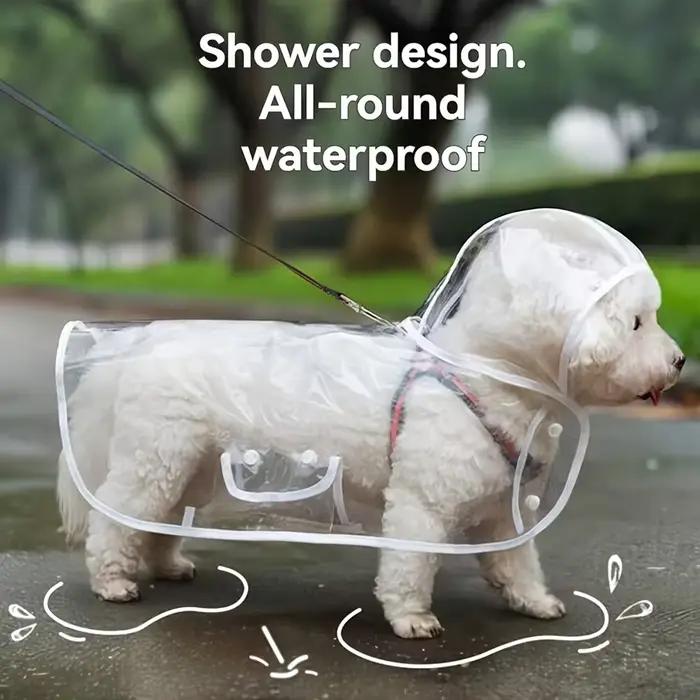 Imperméable transparent imperméable pour chien