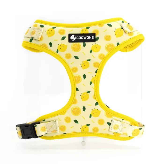 Collarlogo réglable collier pour chien de compagnie Durable doux mignon créatif citron conception laisse néoprène harnais merde caca sac distributeur
