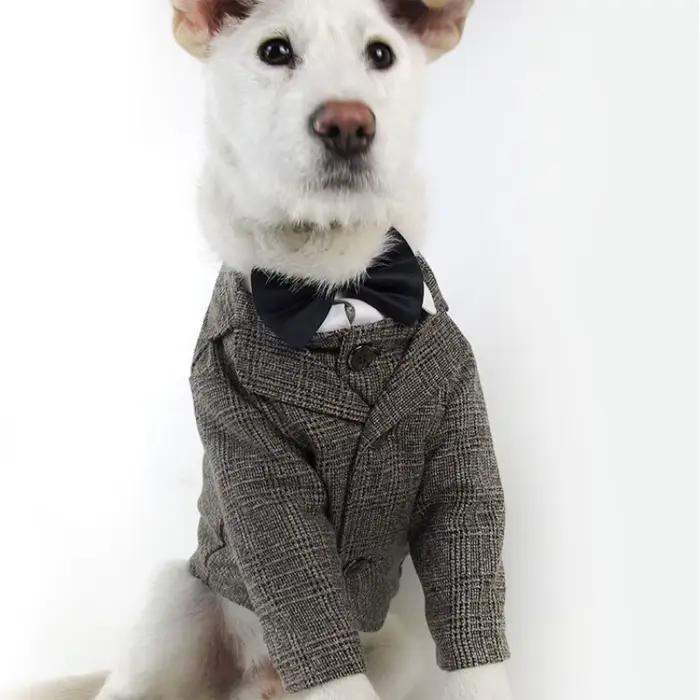 Manteau pour chien taureau français