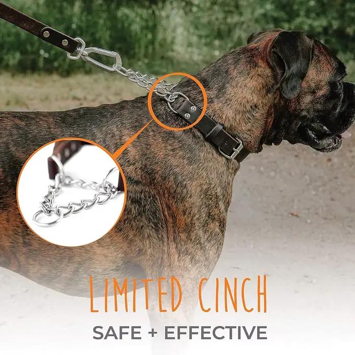 Collier de chien Martingale