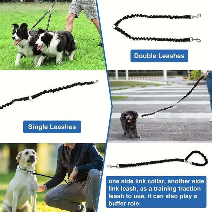Laisses doubles pour chiens de compagnie