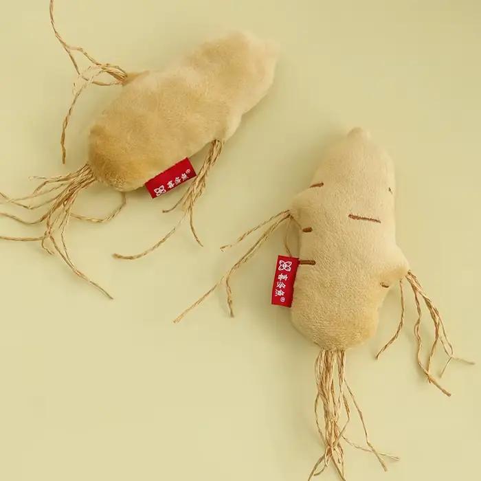 Jouets sûrs pour chat, nettoyage des dents