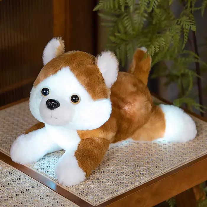 Jouets en peluche pour chiot qui brillent dans le noir