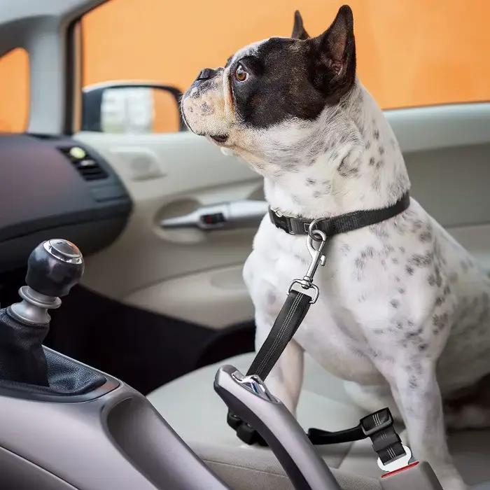Ensemble de harnais de voiture rétractable pour chien avec ceinture de sécurité réglable
