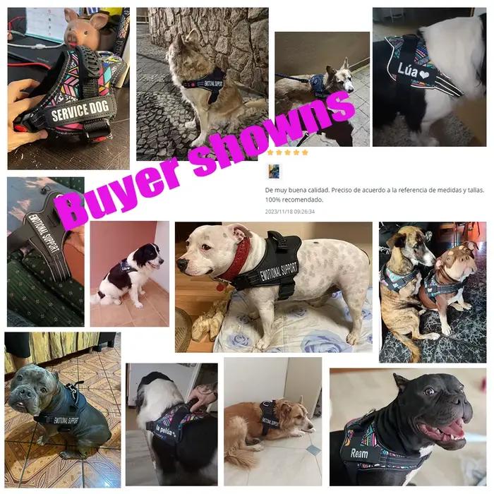 Harnais pour chiens patchs personnalisés