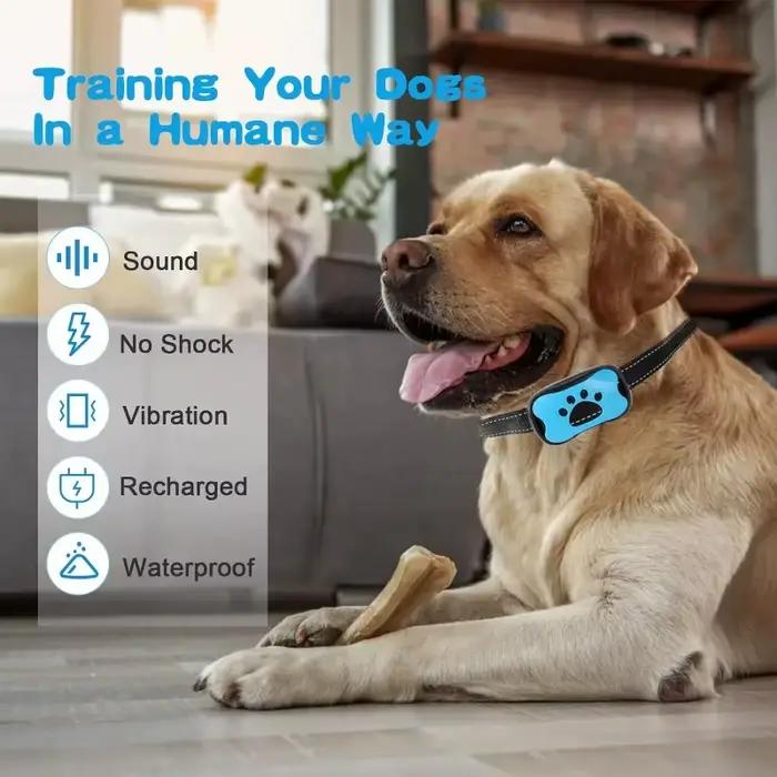 Dispositif Anti-aboiement pour chien de compagnie