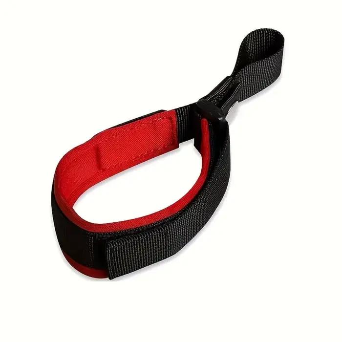 Laisse rétractable automatique pour chiens