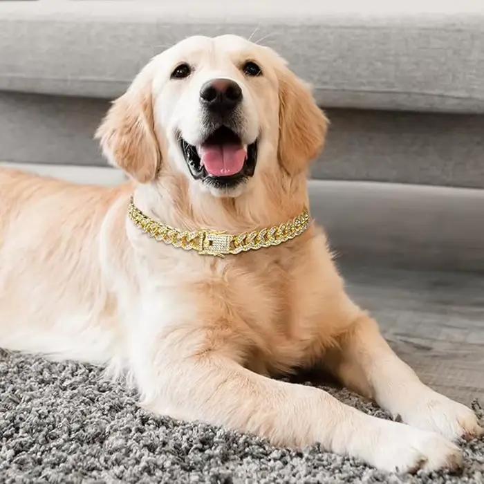 Collier en diamant pour chien