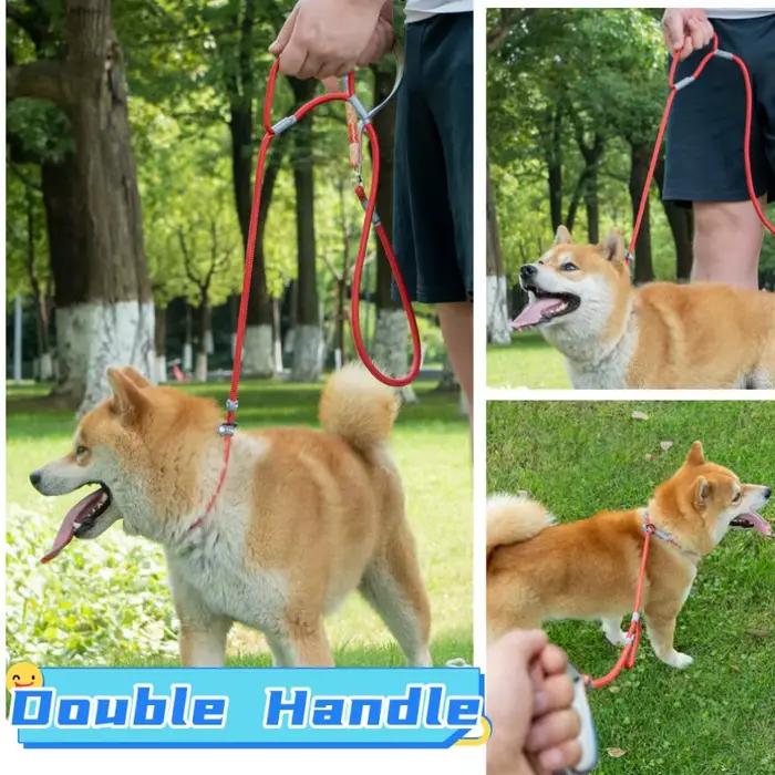 Laisse à double poignée réglable pour chien