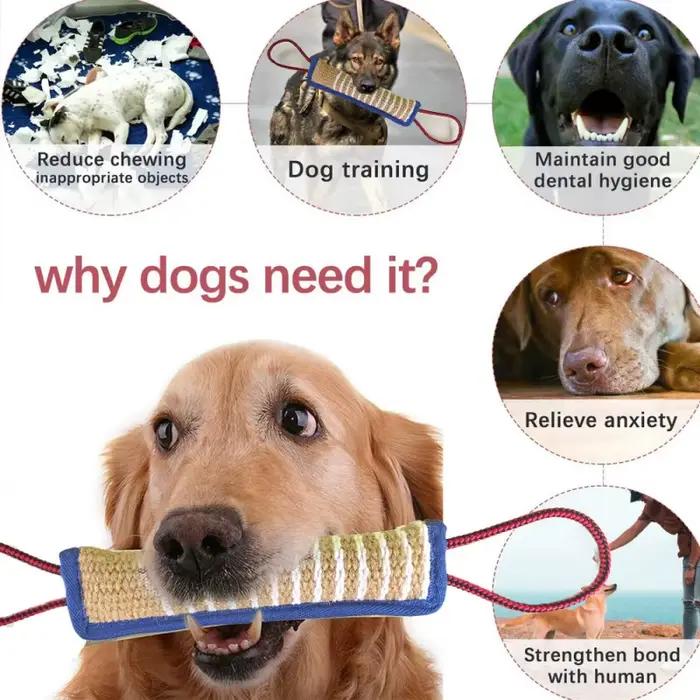Bâtons à mâcher en jute robuste pour chien